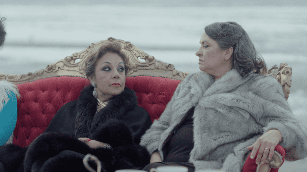 Our Picks from Shasha Movie’s Monthly Programme